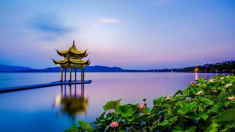 Shanghai to Hangzhou: Culture, History, Architecture, & Tea - Who Should Consider This Tour?