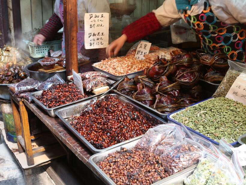 Shanghai: Zhujiajiao Water Town and City Private Day Tour - The Value and Experience