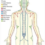 Shanghai:Authentic Chinese Body&Foot Massage, Hair& Head SPA - The Practical Side: Booking, Pricing, and Comfort