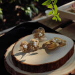 Shanghai:Bamboo Weaving Jewelry Making(Brooch/Earring/Ring) - What to Expect During the Workshop