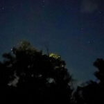 Shared Firefly Watching Cruise on Bohols Scenic Loboc River - The Value: Is It Worth It?