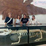 Shared Half City Tour with SPA - Overview of the Tour Experience