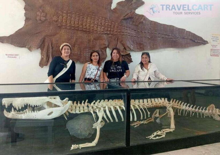 Shared Half City Tour with SPA - Overview of the Tour Experience