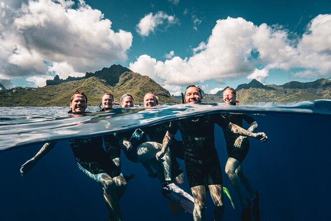 Shared Whale Expedition - Who Should Book This Tour?  