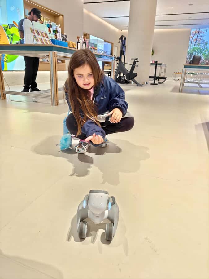 Shenzhen: AI and Robotics Experience Tour - Who Would Enjoy This Tour?