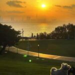 Shenzhen: Bay Park and Talent Park Guided Bike Tour - Practical Details and What You Should Know