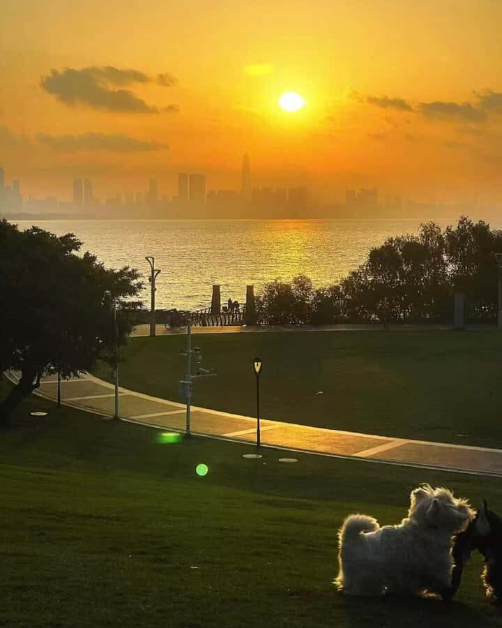 Shenzhen: Bay Park and Talent Park Guided Bike Tour - Practical Details and What You Should Know