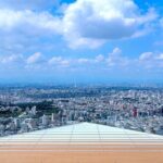 Shibuya Highlights Hachiko Scramble Meiji Jingu and Sky - The Value and Practicalities
