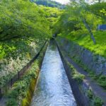 Shiga: Discover Otsus History, Culture, and Faith on Foot - Who Will Love This Tour?