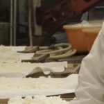 Shiga: Kitajima Sake Brewery Tour with Tasting - Is This Tour Worth It?