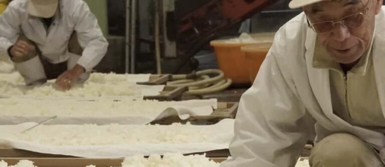 Shiga: Kitajima Sake Brewery Tour with Tasting - Is This Tour Worth It?