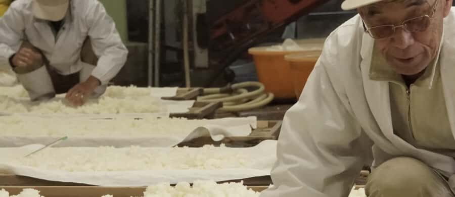 Shiga: Kitajima Sake Brewery Tour with Tasting - Is This Tour Worth It?