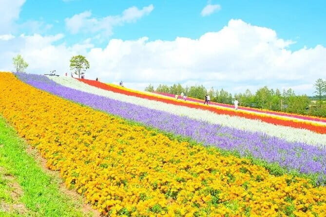 Shikisai-no-Oka and Furano Tour with buffet lunch from Sapporo - Who Will Love This Tour?