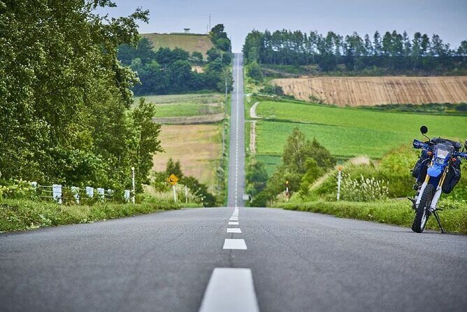 Shikisai-no-Oka Fairy Terrace Tour, optional lunch from Sapporo - What Reviewers Say: Authentic Insights