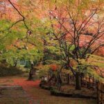 Shimizu: Kyoto Private Custom Day Tour with English guide - Highlights of the Tour