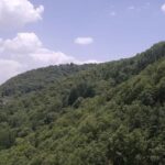 Shimla: Hiking Tour to Taradevi Hill with Local Driver Guide - What to Bring & Tips