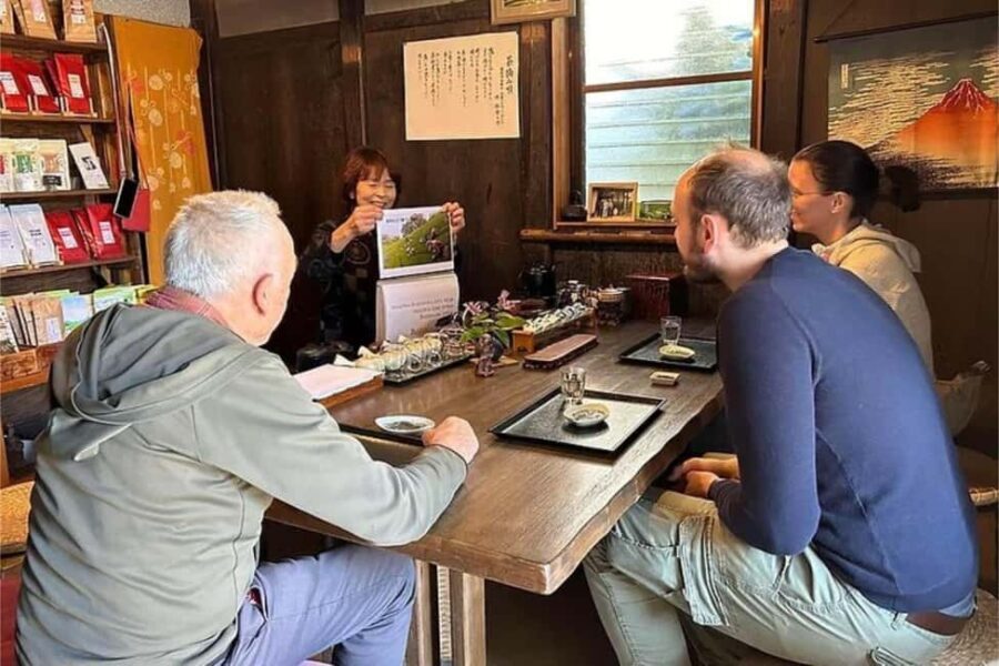 Shizuoka: 6-hour Private Tour & Japanese Tea Farm w/ Vehicle - Deep Dive into the Itinerary