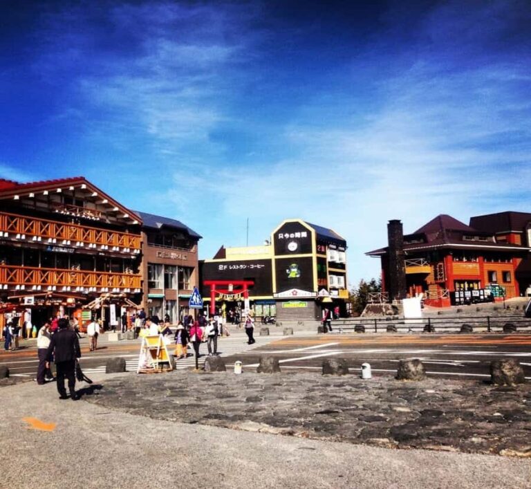 Shizuoka: Mount Fuji Private Full-Day Scenic Tour - What You Can Expect and Practical Tips