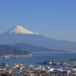 Shizuoka: Shimizu Port Food & Bar Hopping Tour - Who Should Book This Experience?