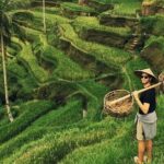 Shore Excursion Cruise Ship From Celukan Bawang Port - Discovering North Bali: An Overview of the Tour
