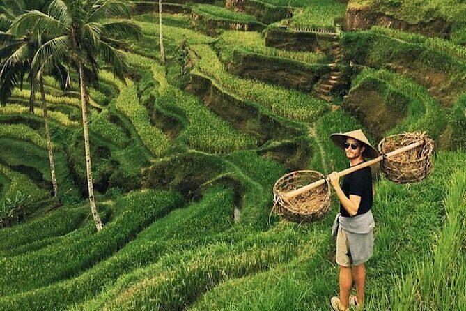 Shore Excursion Cruise Ship From Celukan Bawang Port - Discovering North Bali: An Overview of the Tour