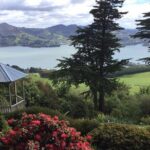 Shore Excursion: Dunedin City, Otago Peninsula, Castle Gardens & Olveston Tour - What Guests Say About the Guides