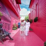 Shore Excursion Monkey Encounter and Puerto Plata City Tour - Who Will Love This Tour?