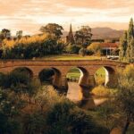 Shore Excursion - nipaluna (Hobart) Highlights - Who Is This Tour Best For?