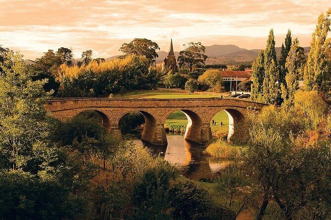 Shore Excursion - nipaluna (Hobart) Highlights - Who Is This Tour Best For?