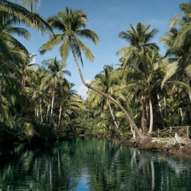 Siargao: Land Tour with Lunch and Sugba Lagoon - Exploring the Itinerary in Detail