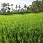 Sidemen Trekking with Cultural Encounters and Nature Views - The Sum Up