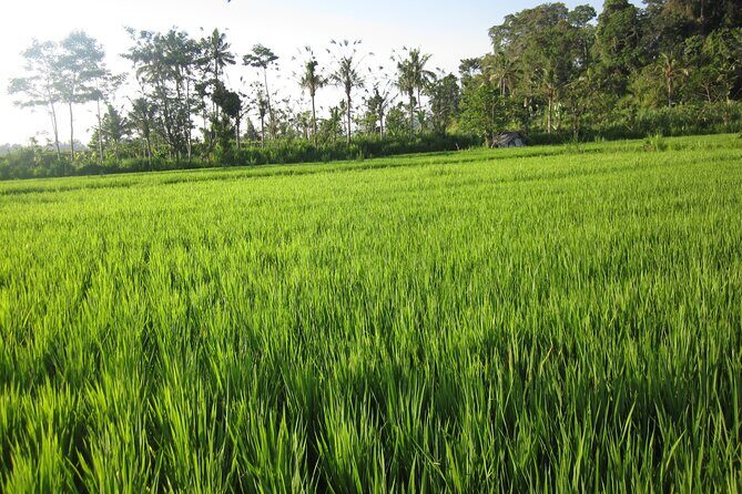 Sidemen Trekking with Cultural Encounters and Nature Views - The Sum Up