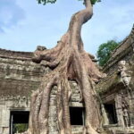 Siem Reap: 1-day group tour of Angkor with Spanish tour guide - Why This Tour Offers Great Value