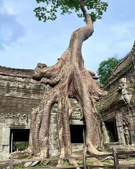 Siem Reap: 1-day group tour of Angkor with Spanish tour guide - Why This Tour Offers Great Value