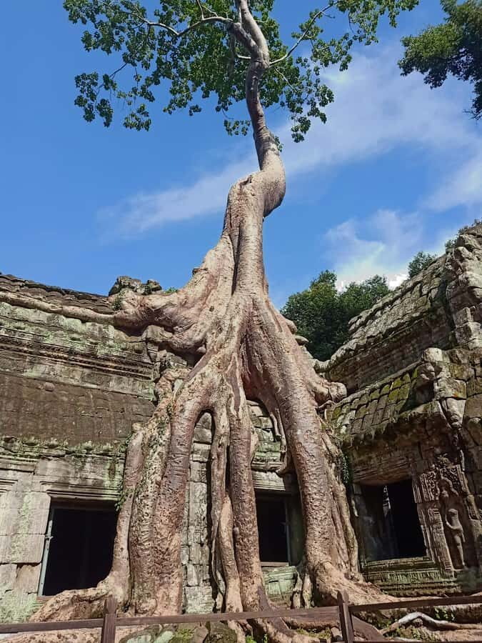 Siem Reap: 2-Day Angkor Wat and Countryside Temples Tour - Deep Dive into the 2-Day Temples Tour: What’s Included?