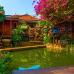 Siem Reap: Afternoon APOPO Rats Tour + Phare Circus Option - What’s It All About? A Breakdown of the Tour