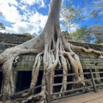 Siem Reap: Angkor Wat Small Group Tour with Spanish Guide - Final Thoughts