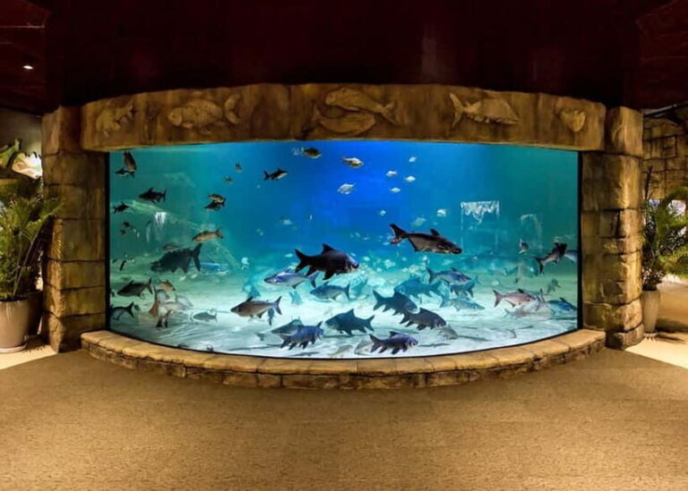 Siem Reap: Angkor Wildlife & Aquarium Entrance Ticket - Final Thoughts