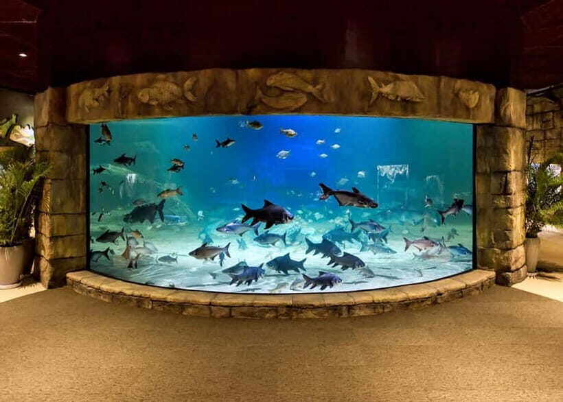 Siem Reap: Angkor Wildlife & Aquarium Entrance Ticket - Final Thoughts