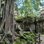 Siem Reap: Banteay Samre, Beng Mealea, & Bakong Tour - The Lunch Break and Local Cuisine