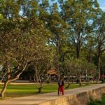 Siem Reap City Walking with Expert Tour Guide Private Tour - What’s Included and What’s Not