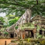 Siem Reap Full Day Angkor Complex Guide Tour - What You Can Expect from the Tour