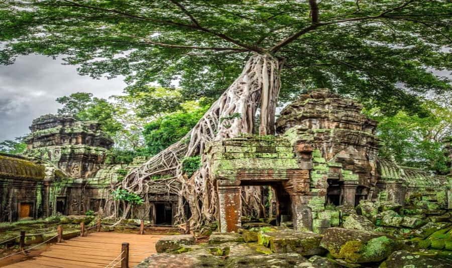 Siem Reap Full Day Angkor Complex Guide Tour - What You Can Expect from the Tour