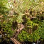 Siem Reap: Koh Ker and Beng Mealea Guided Day Trip - A Detailed Look at the Tour Experience