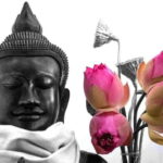 Siem Reap Lotus Silk Farm Tour with Pick Up downtown - Who Should Consider This Tour?