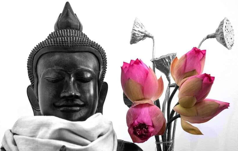 Siem Reap Lotus Silk Farm Tour with Pick Up downtown - Who Should Consider This Tour?