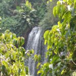 Siem Reap: Phnom Kulen Waterfall Tour - Who Will Love This Tour?