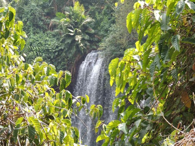 Siem Reap: Phnom Kulen Waterfall Tour - Who Will Love This Tour?