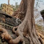 Siem Reap Private Full Day Angkor Wat Tour with Sunset or Sunrise - Detailed Breakdown of the Itinerary