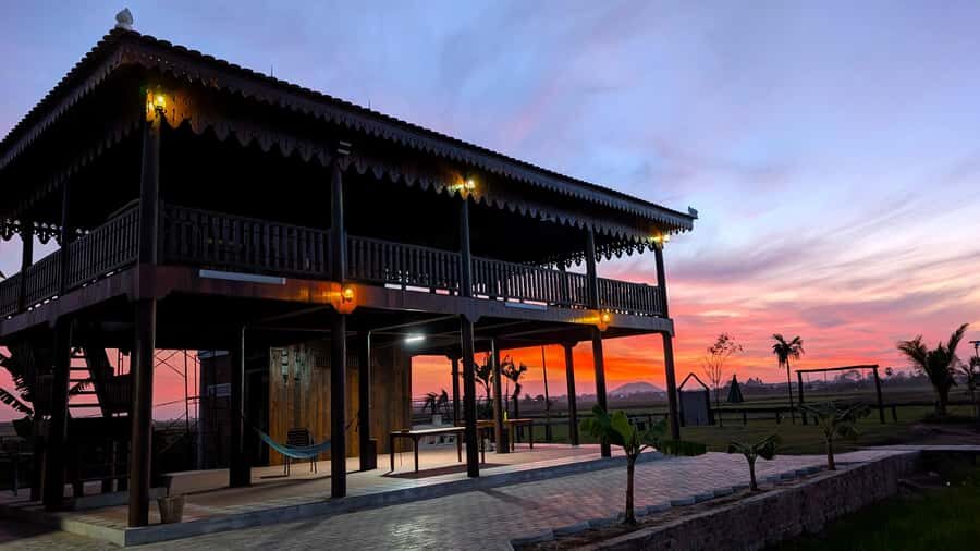 Siem Reap: Rice Field Sunset Drink & Home-Cooked Dinner - What to Expect from the Tour